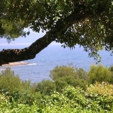 House Gaou Benat Holiday home Le Lavandou